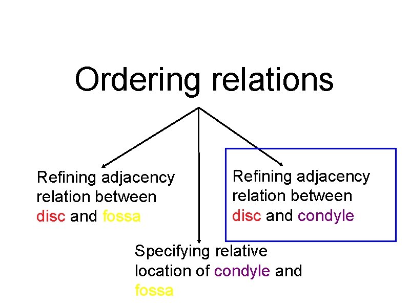 Ordering relations Refining adjacency relation between disc and fossa Refining adjacency relation between disc