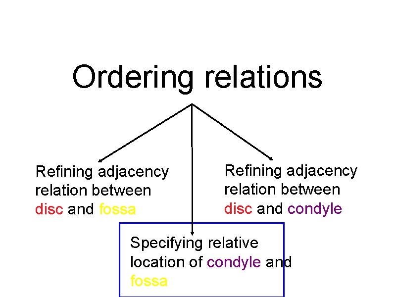 Ordering relations Refining adjacency relation between disc and fossa Refining adjacency relation between disc