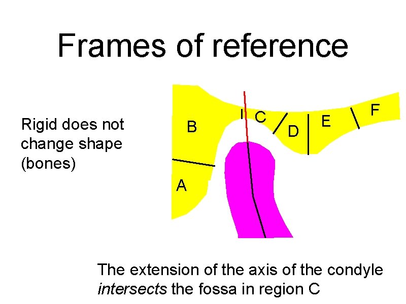 Frames of reference Rigid does not change shape (bones) B C D E F