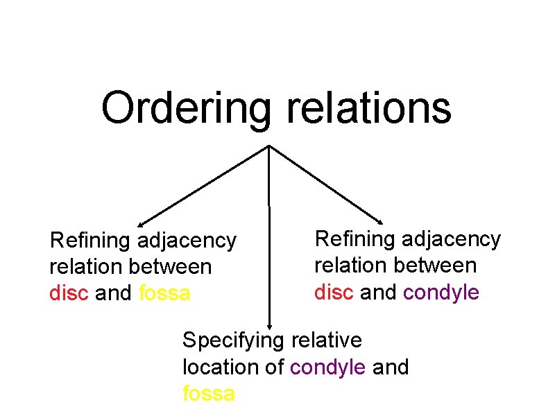 Ordering relations Refining adjacency relation between disc and fossa Refining adjacency relation between disc