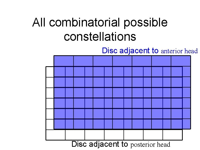 All combinatorial possible constellations Disc adjacent to anterior head Disc adjacent to posterior head
