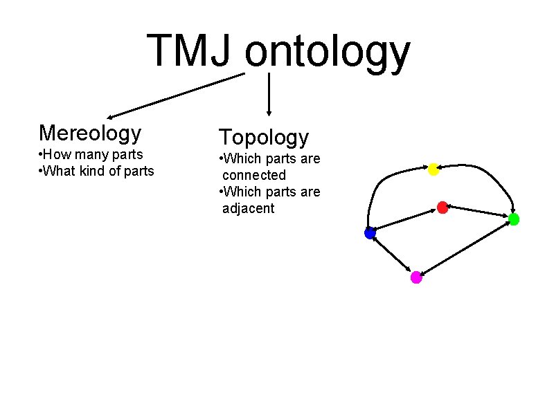 TMJ ontology Mereology • How many parts • What kind of parts Topology •