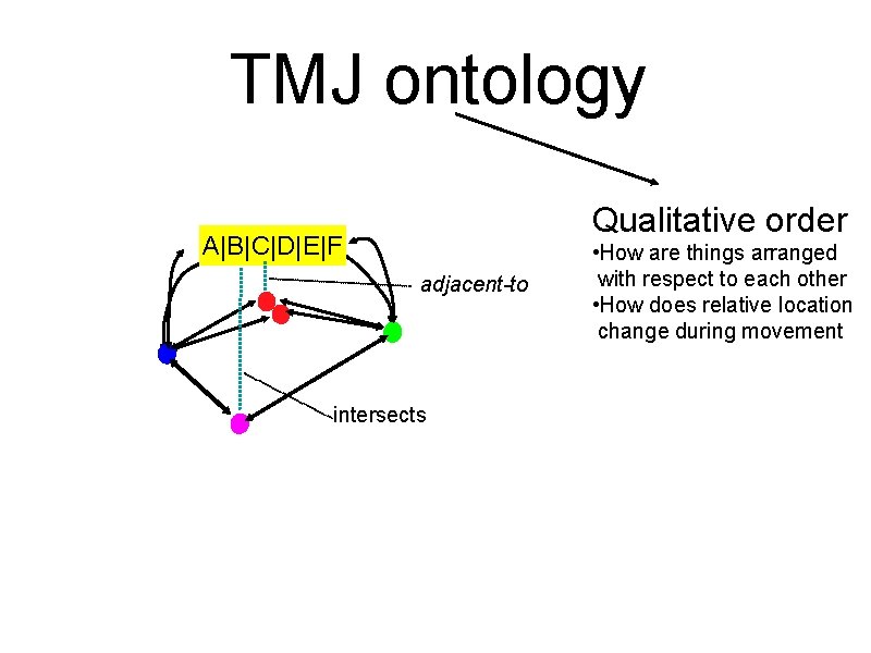 TMJ ontology Qualitative order A|B|C|D|E|F adjacent-to intersects • How are things arranged with respect