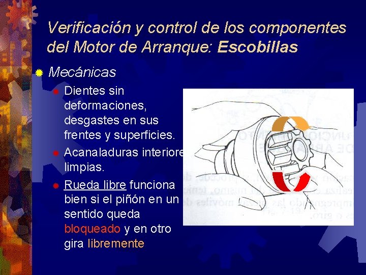 Verificación y control de los componentes del Motor de Arranque: Escobillas ® Mecánicas Dientes