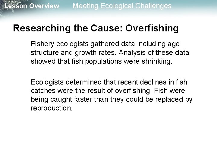 Lesson Overview Meeting Ecological Challenges Researching the Cause: Overfishing Fishery ecologists gathered data including