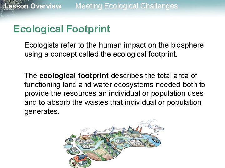 Lesson Overview Meeting Ecological Challenges Ecological Footprint Ecologists refer to the human impact on