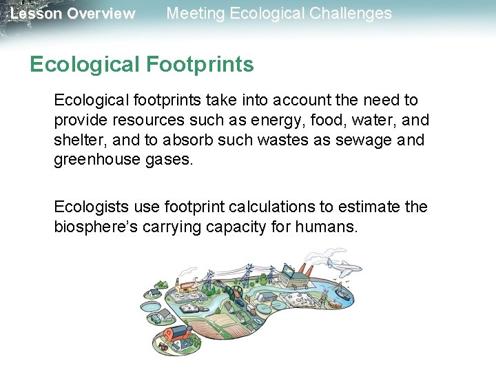 Lesson Overview Meeting Ecological Challenges Ecological Footprints Ecological footprints take into account the need