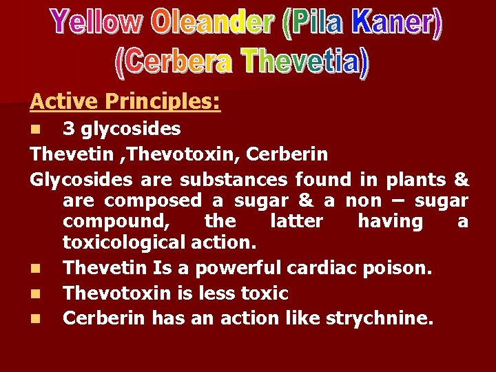 Active Principles: 3 glycosides Thevetin , Thevotoxin, Cerberin Glycosides are substances found in plants