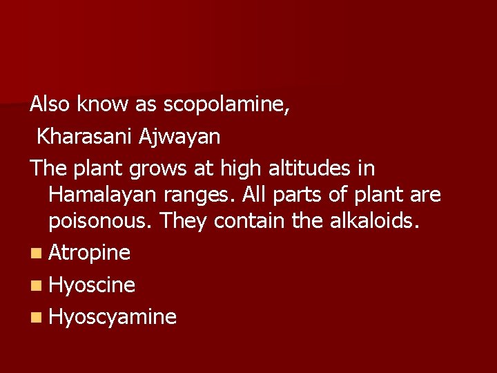 Also know as scopolamine, Kharasani Ajwayan The plant grows at high altitudes in Hamalayan
