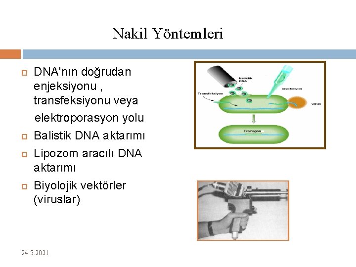 Nakil Yöntemleri DNA'nın doğrudan enjeksiyonu , transfeksiyonu veya elektroporasyon yolu Balistik DNA aktarımı Lipozom