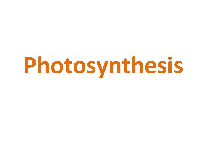 Photosynthesis 