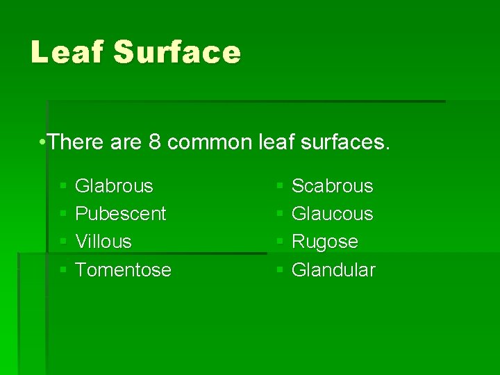Leaf Surface • There are 8 common leaf surfaces. § Glabrous § Pubescent §