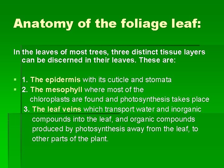 Anatomy of the foliage leaf: In the leaves of most trees, three distinct tissue