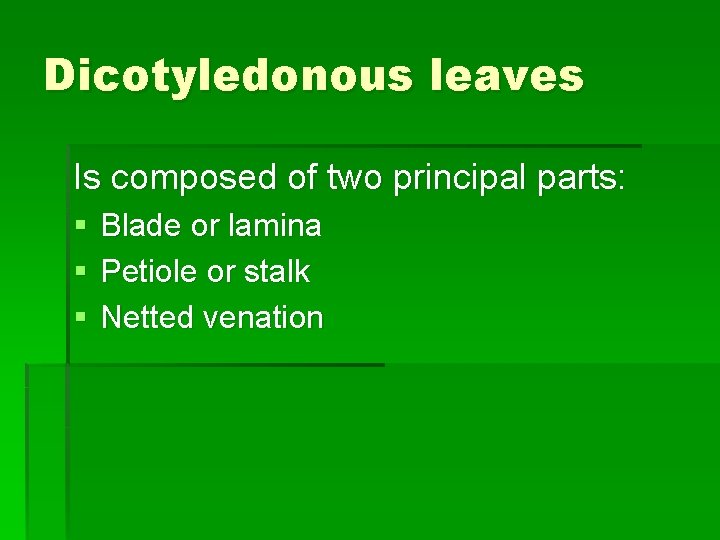 Dicotyledonous leaves Is composed of two principal parts: § § § Blade or lamina