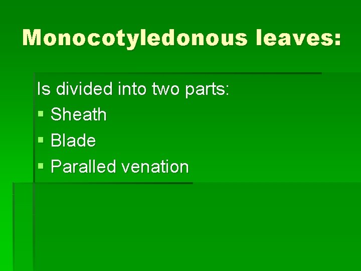 Monocotyledonous leaves: Is divided into two parts: § Sheath § Blade § Paralled venation