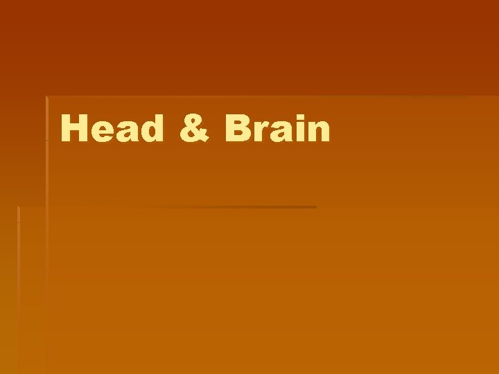 Head & Brain 