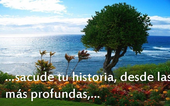 …sacude tu historia, desde las más profundas, … 