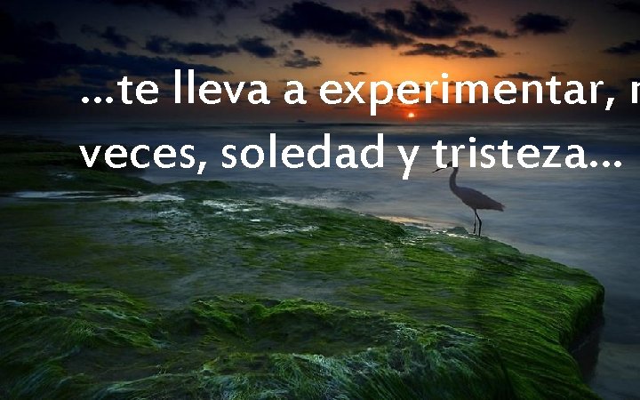 …te lleva a experimentar, m veces, soledad y tristeza… 