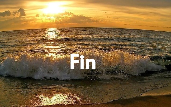 Fin 