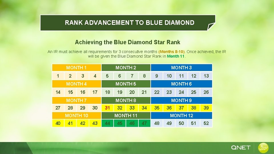 RANK ADVANCEMENT TO BLUE DIAMOND Achieving the Blue Diamond Star Rank An IR must
