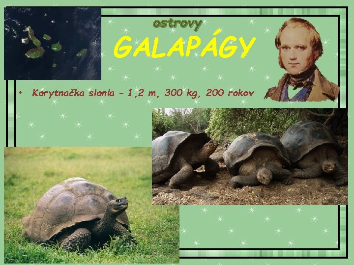 ostrovy GALAPÁGY • Korytnačka slonia – 1, 2 m, 300 kg, 200 rokov 