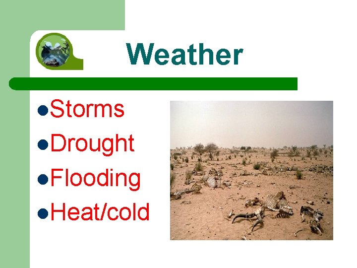 Weather l. Storms l. Drought l. Flooding l. Heat/cold Weather l. Storms l. Drought l. Flooding l. Heat/cold