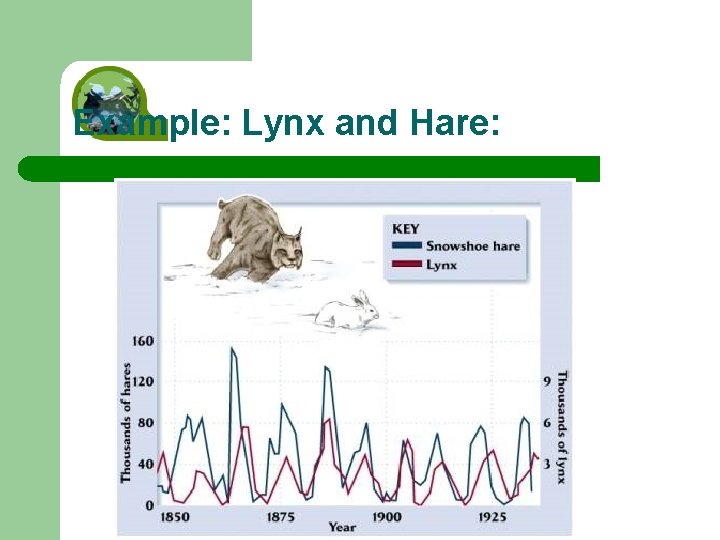 Example: Lynx and Hare: 