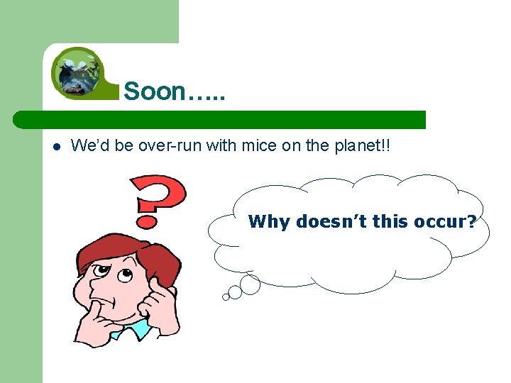 Soon…. . l We’d be over-run with mice on the planet!! Why doesn’t this