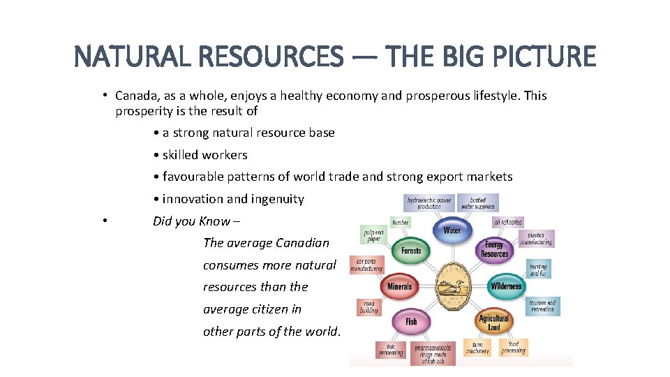 NATURAL RESOURCES — THE BIG PICTURE • Canada, as a whole, enjoys a healthy