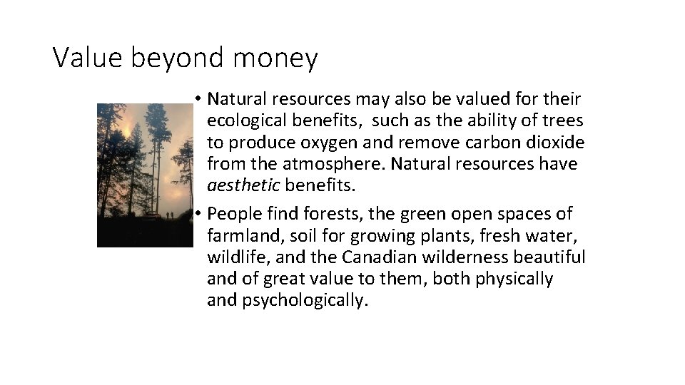Value beyond money • Natural resources may also be valued for their ecological benefits,