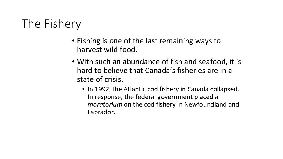 The Fishery • Fishing is one of the last remaining ways to harvest wild