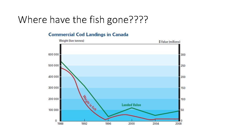 Where have the fish gone? ? 