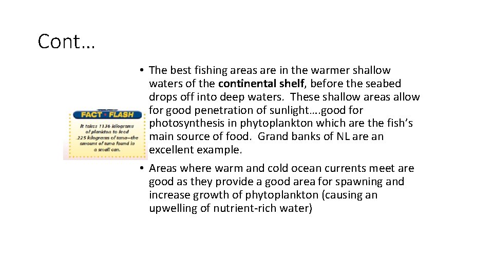 Cont… • The best fishing areas are in the warmer shallow waters of the