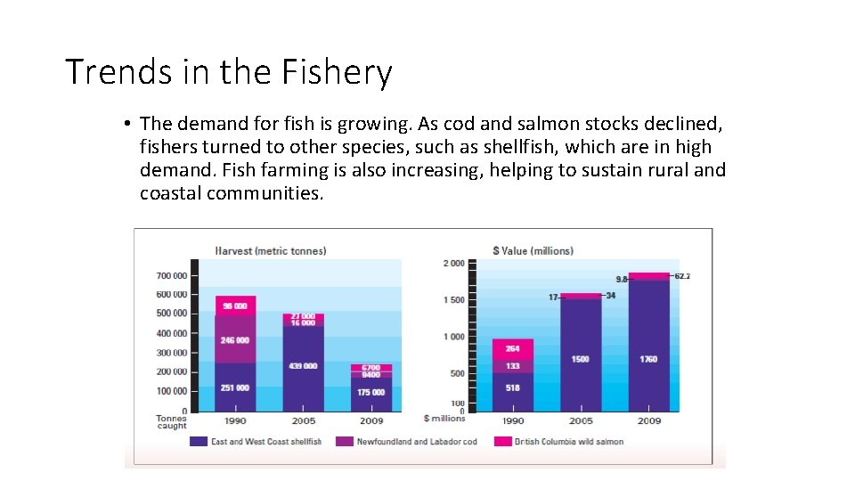 Trends in the Fishery • The demand for fish is growing. As cod and