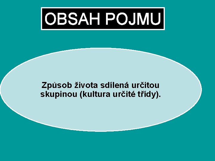 OBSAH POJMU Způsob života sdílená určitou skupinou (kultura určité třídy). 