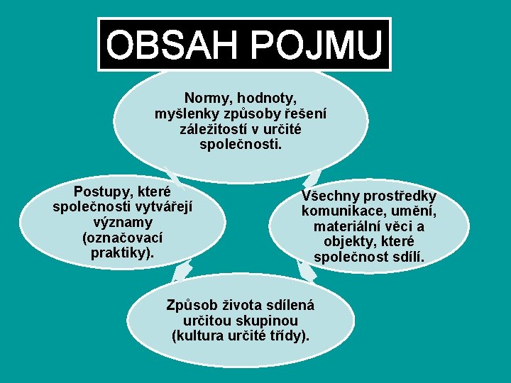 OBSAH POJMU Normy, hodnoty, myšlenky způsoby řešení záležitostí v určité společnosti. Postupy, které společnosti