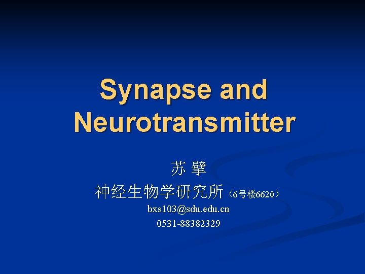 Synapse and Neurotransmitter 苏擘 神经生物学研究所（6号楼 6620） bxs 103@sdu. edu. cn 0531 -88382329 