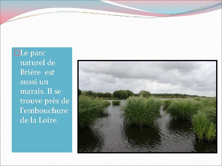 �Le parc naturel de Brière est aussi un marais. Il se trouve près de