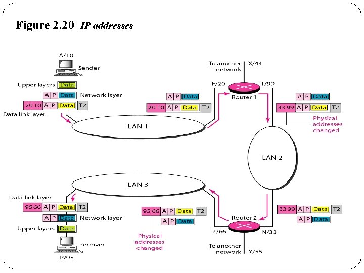 Figure 2. 20 IP addresses 