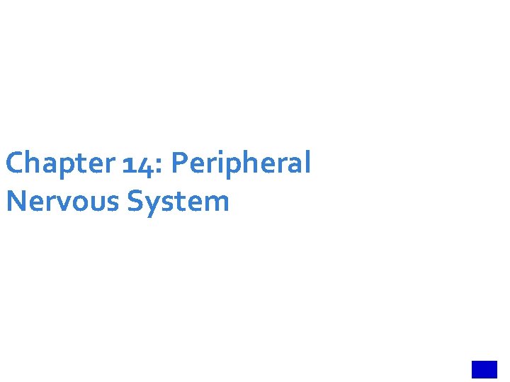 Chapter 14: Peripheral Nervous System 