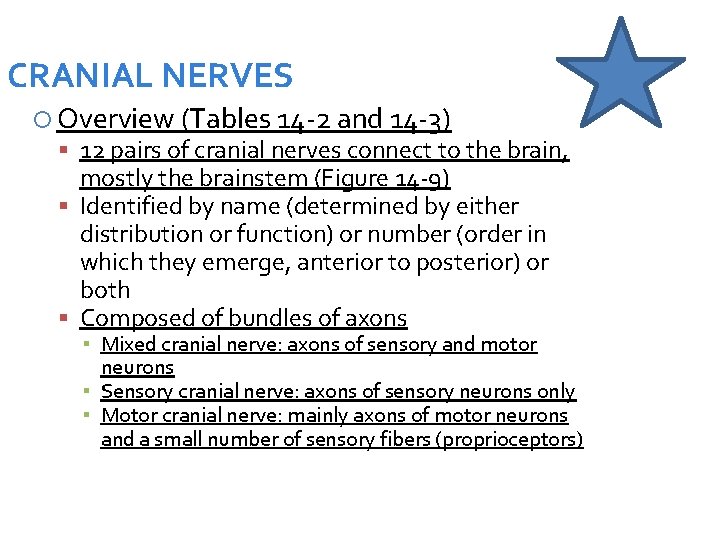 CRANIAL NERVES Overview (Tables 14 -2 and 14 -3) 12 pairs of cranial nerves