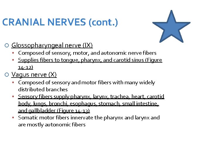 CRANIAL NERVES (cont. ) Glossopharyngeal nerve (IX) Composed of sensory, motor, and autonomic nerve