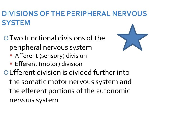 DIVISIONS OF THE PERIPHERAL NERVOUS SYSTEM Two functional divisions of the peripheral nervous system