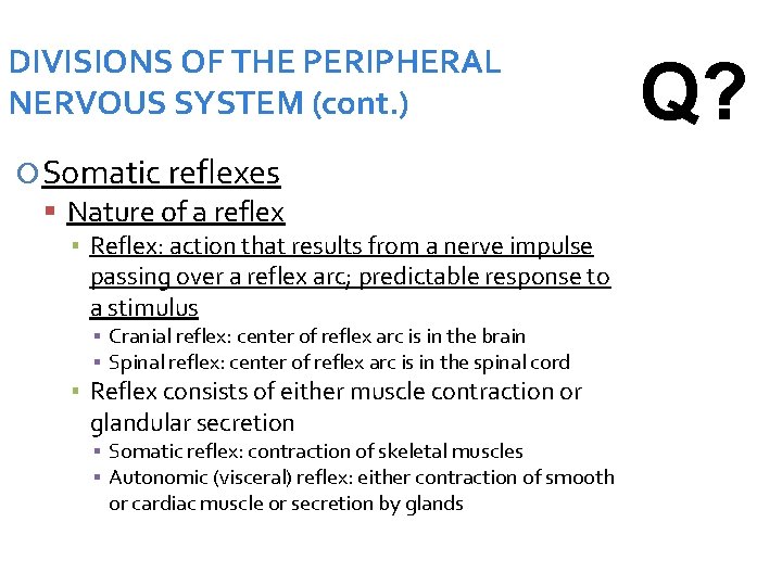 DIVISIONS OF THE PERIPHERAL NERVOUS SYSTEM (cont. ) Somatic reflexes Nature of a reflex