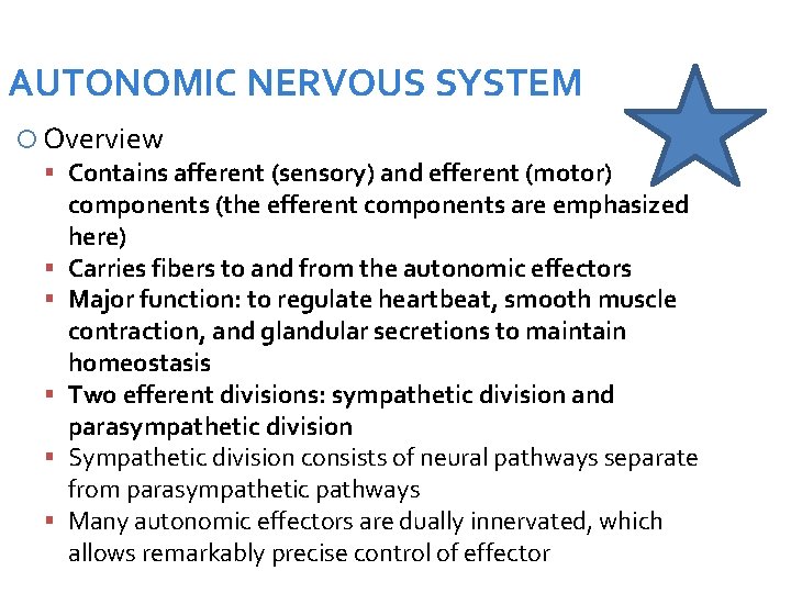 AUTONOMIC NERVOUS SYSTEM Overview Contains afferent (sensory) and efferent (motor) components (the efferent components