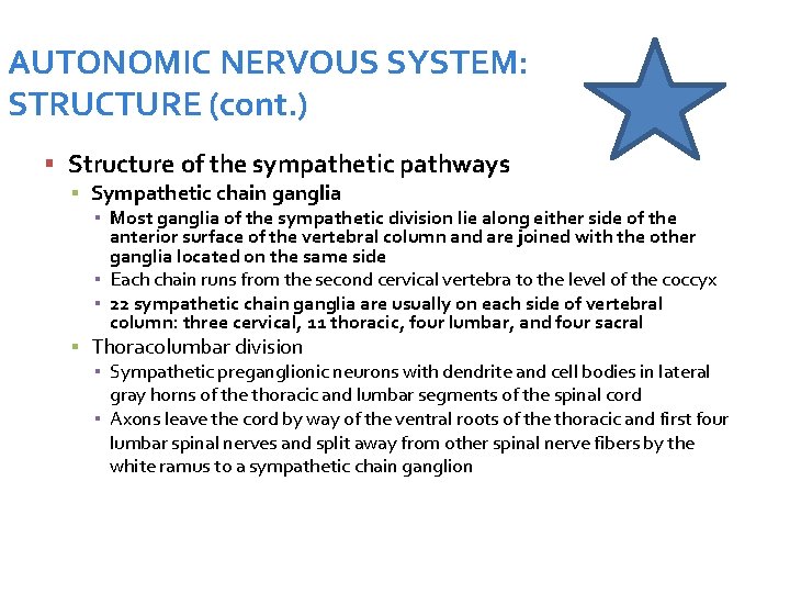 AUTONOMIC NERVOUS SYSTEM: STRUCTURE (cont. ) Structure of the sympathetic pathways ▪ Sympathetic chain