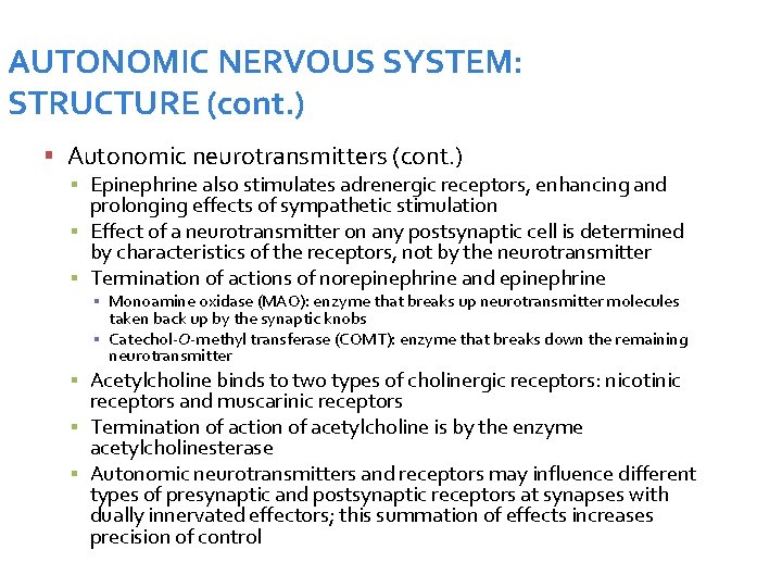 AUTONOMIC NERVOUS SYSTEM: STRUCTURE (cont. ) Autonomic neurotransmitters (cont. ) ▪ Epinephrine also stimulates