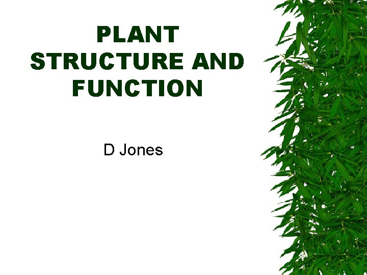 PLANT STRUCTURE AND FUNCTION D Jones 