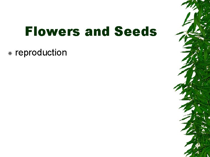 Flowers and Seeds reproduction 