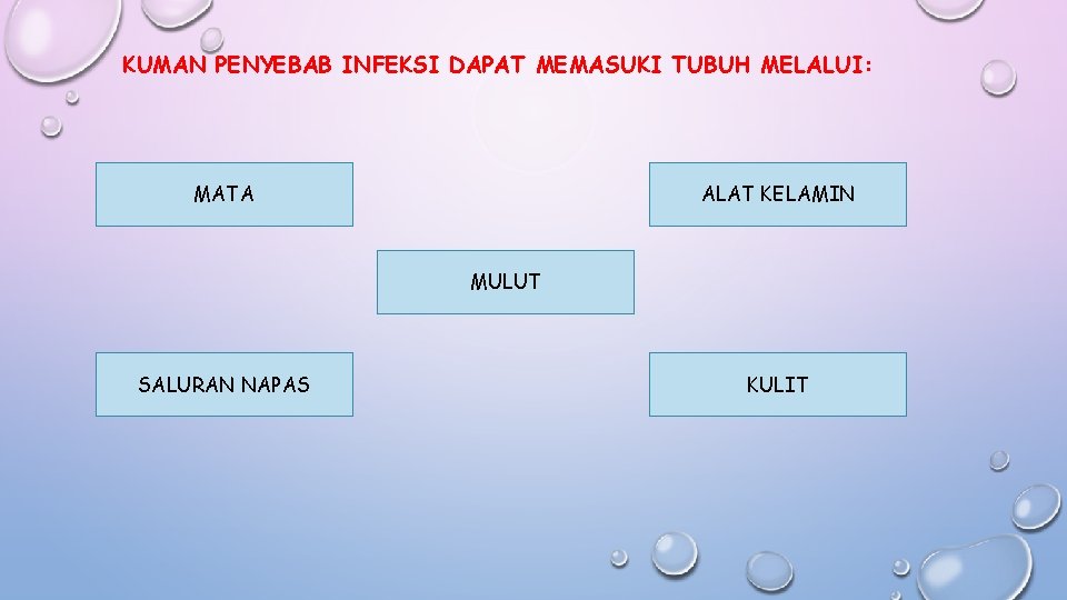 KUMAN PENYEBAB INFEKSI DAPAT MEMASUKI TUBUH MELALUI: ALAT KELAMIN MATA MULUT SALURAN NAPAS KULIT